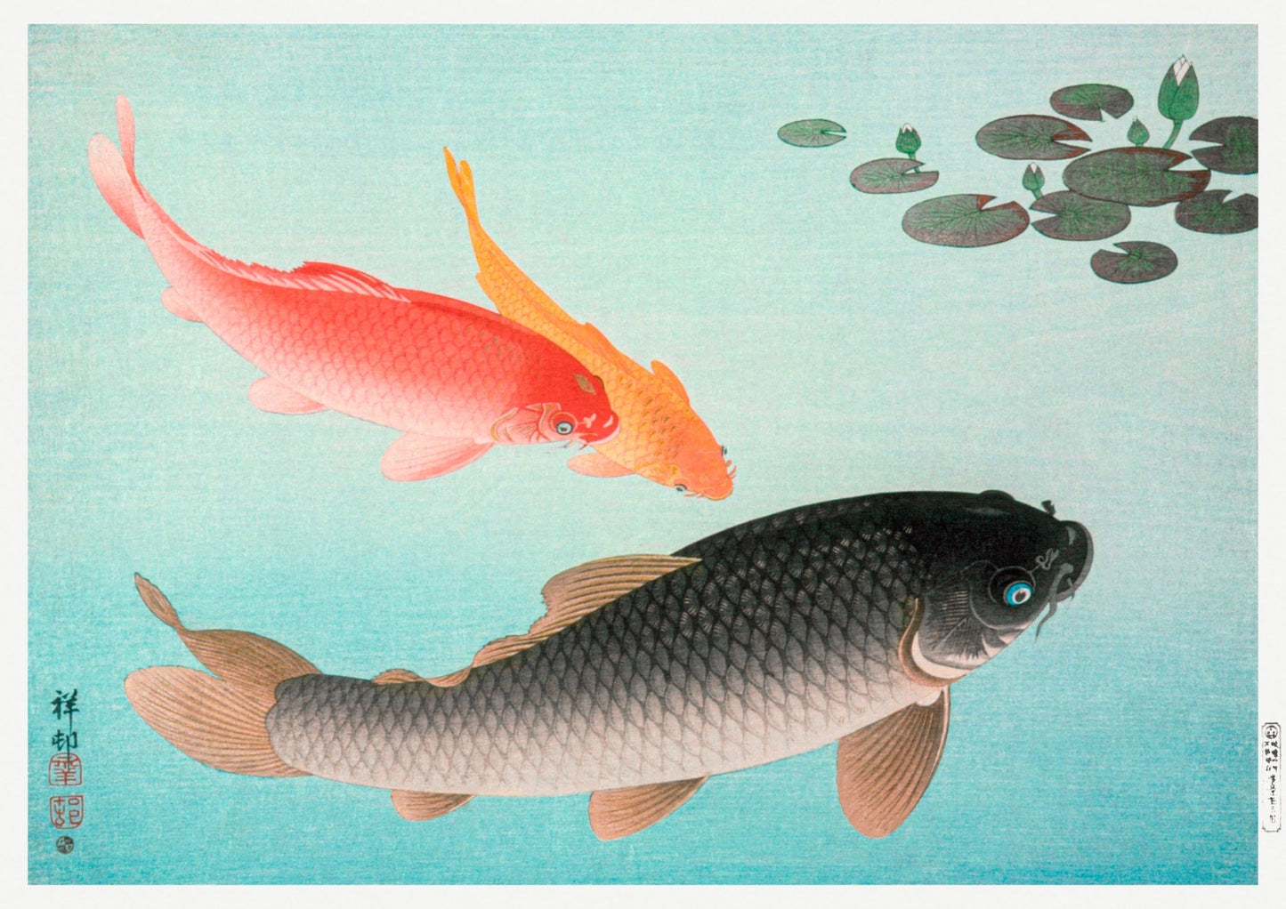 Common and Golden Carp (1935) - Milisima Studio