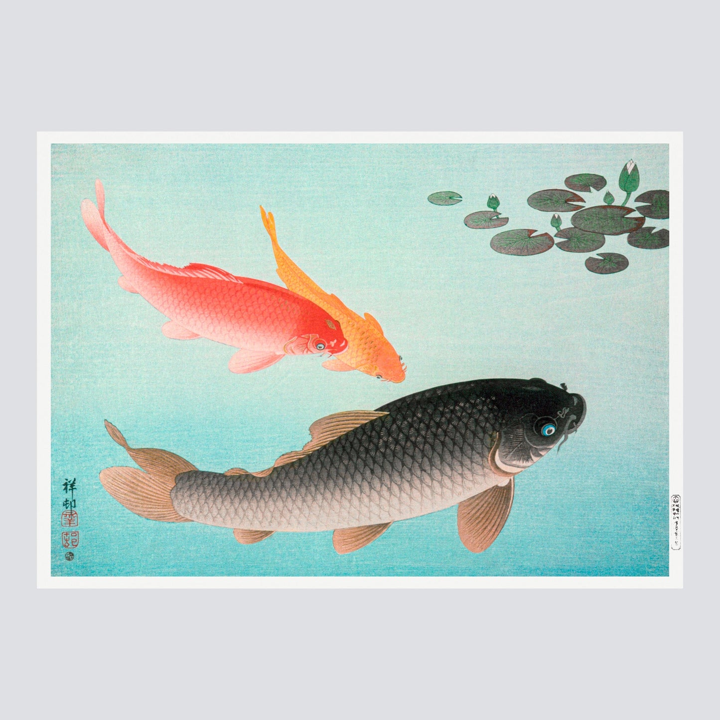 Common and Golden Carp (1935) - Milisima Studio
