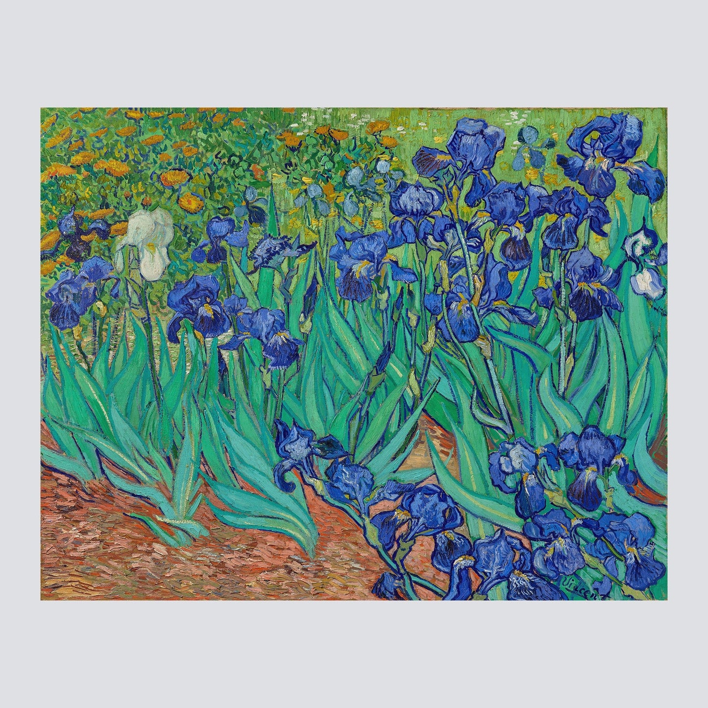 Irises (1889) - Milisima Studio