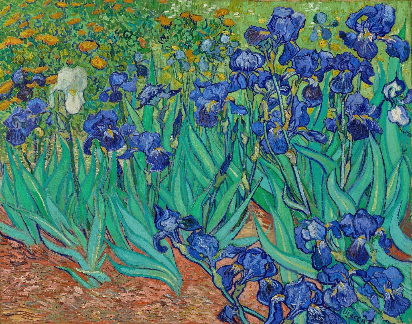 Irises (1889) - Milisima Studio