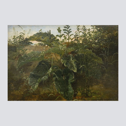 Foreground Study with Dock Leaves (1846) - Milisima Studio