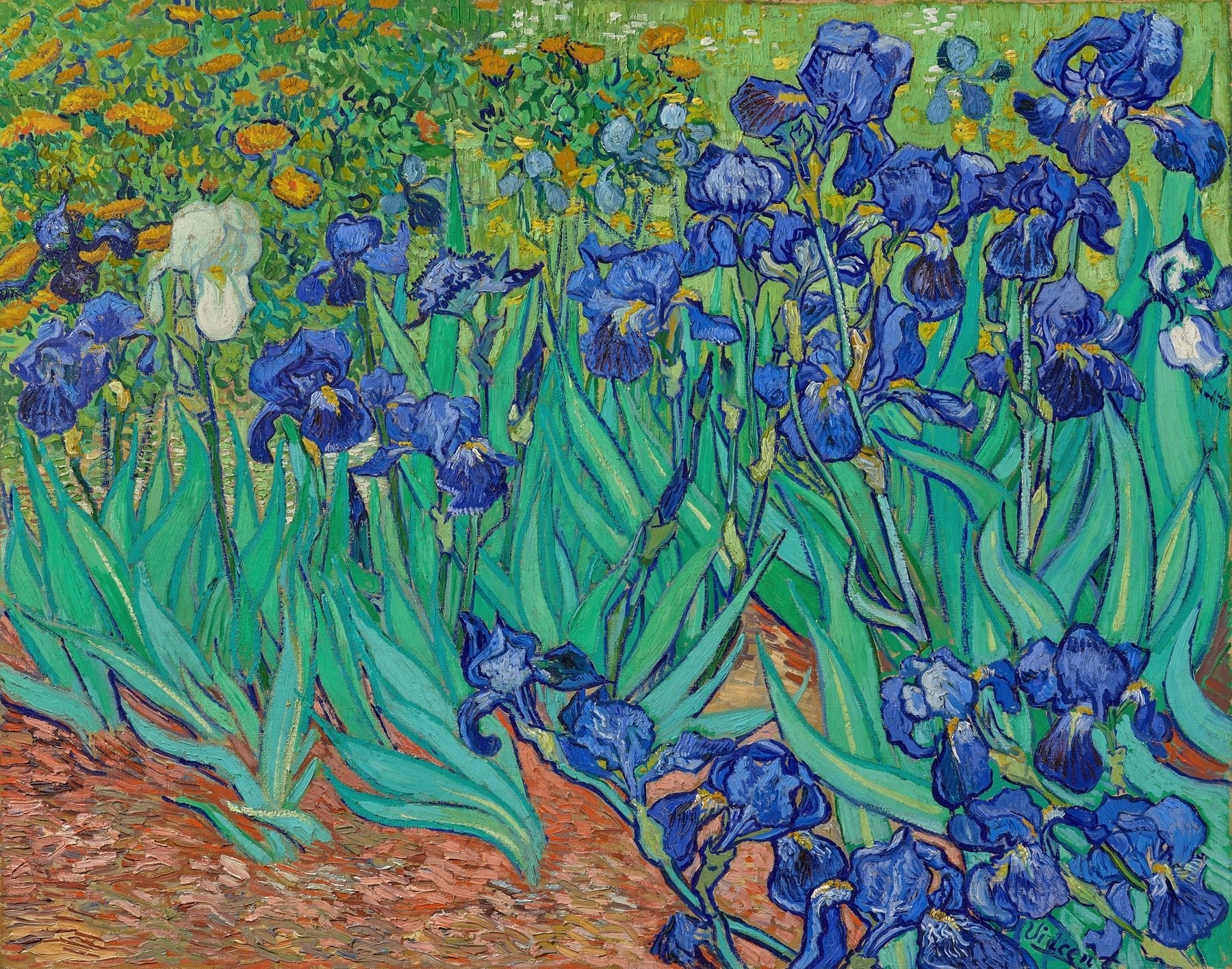 Irises (1889) - Milisima Studio